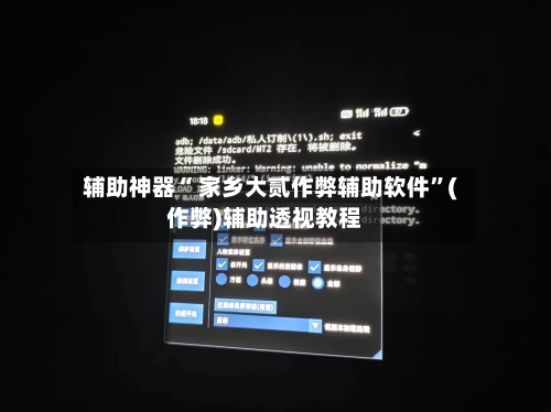 辅助神器“ 家乡大贰作弊辅助软件”(作弊)辅助透视教程-第3张图片