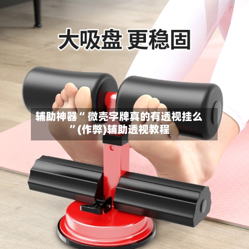辅助神器“ 微壳字牌真的有透视挂么	”(作弊)辅助透视教程-第3张图片