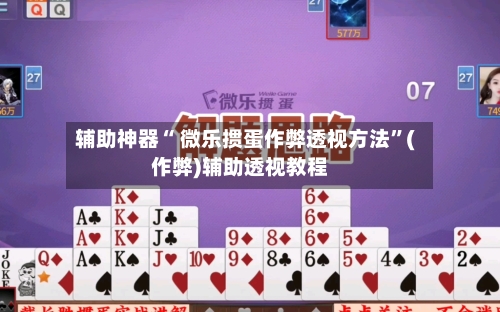 辅助神器“ 微乐掼蛋作弊透视方法”(作弊)辅助透视教程-第3张图片
