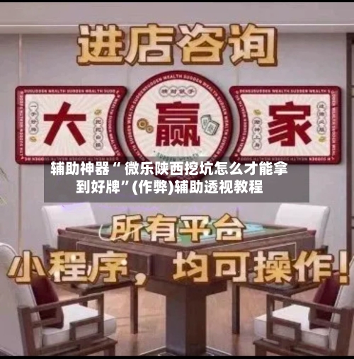辅助神器“ 微乐陕西挖坑怎么才能拿到好牌”(作弊)辅助透视教程-第2张图片