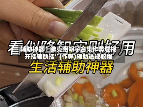 辅助神器“ 微壳跑胡子合集作弊透视开挂辅助挂”(作弊)辅助透视教程-第2张图片