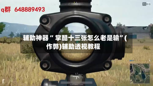 辅助神器“ 掌酷十三张怎么老是输”(作弊)辅助透视教程-第2张图片