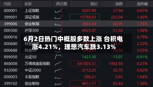 6月2日热门中概股多数上涨 台积电涨4.21%，理想汽车跌3.13%-第3张图片