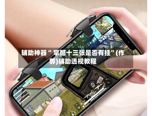 辅助神器“ 掌酷十三张是否有挂	”(作弊)辅助透视教程-第3张图片