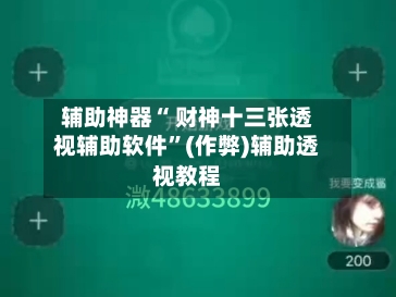 辅助神器“ 财神十三张透视辅助软件”(作弊)辅助透视教程-第2张图片