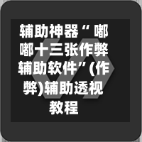辅助神器“ 嘟嘟十三张作弊辅助软件”(作弊)辅助透视教程-第2张图片