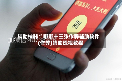 辅助神器“ 嘟嘟十三张作弊辅助软件	”(作弊)辅助透视教程-第3张图片