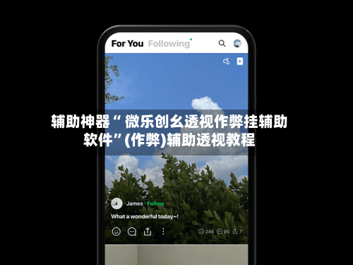 辅助神器“ 微乐创幺透视作弊挂辅助软件	”(作弊)辅助透视教程-第2张图片
