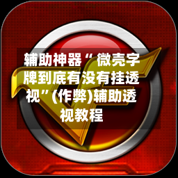 辅助神器“ 微壳字牌到底有没有挂透视”(作弊)辅助透视教程