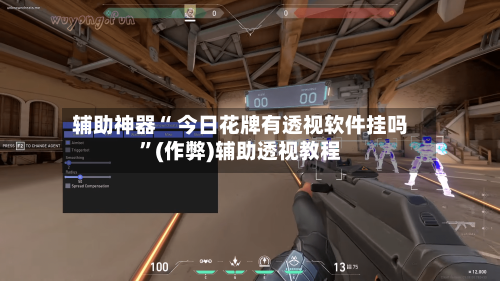 辅助神器“ 今日花牌有透视软件挂吗	”(作弊)辅助透视教程-第2张图片