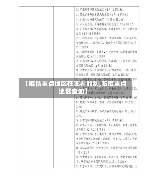 【疫情重点地区在哪看的到,防疫重点地区查询】
