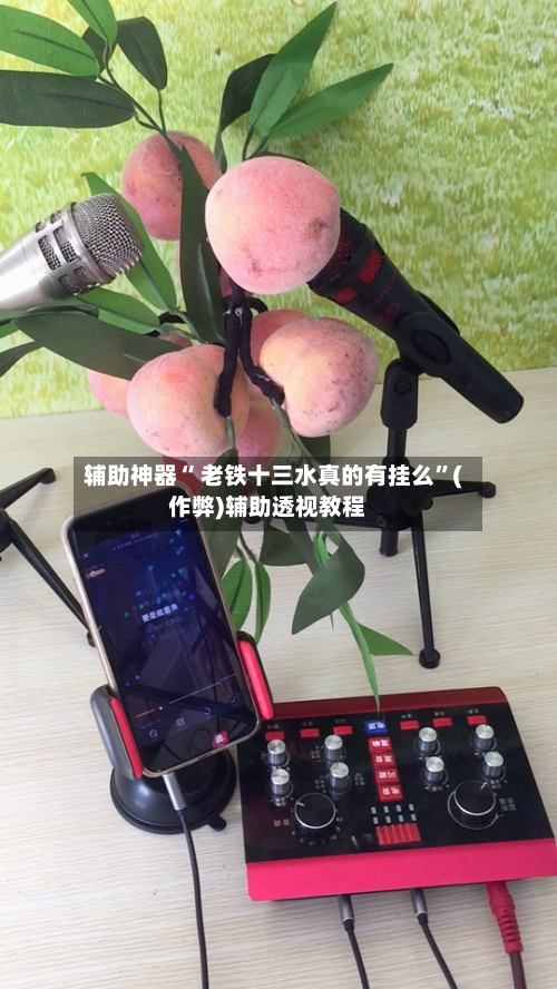 辅助神器“ 老铁十三水真的有挂么”(作弊)辅助透视教程-第2张图片