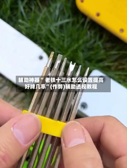 辅助神器“ 老铁十三水怎么设置提高好牌几率	”(作弊)辅助透视教程-第2张图片