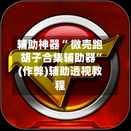 辅助神器“ 微壳跑胡子合集辅助器	”(作弊)辅助透视教程-第2张图片