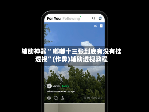 辅助神器“ 嘟嘟十三张到底有没有挂透视	”(作弊)辅助透视教程-第2张图片