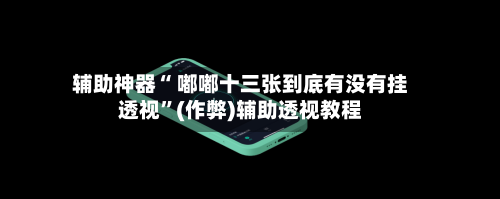 辅助神器“ 嘟嘟十三张到底有没有挂透视”(作弊)辅助透视教程-第3张图片