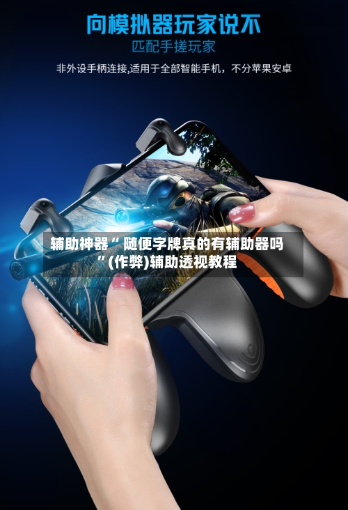 辅助神器“ 随便字牌真的有辅助器吗”(作弊)辅助透视教程-第2张图片