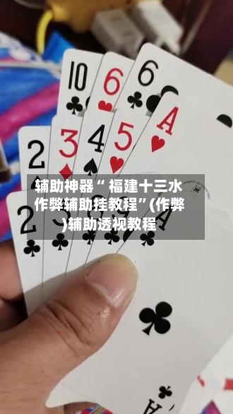 辅助神器“ 福建十三水作弊辅助挂教程”(作弊)辅助透视教程-第3张图片