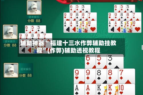 辅助神器“ 福建十三水作弊辅助挂教程”(作弊)辅助透视教程-第2张图片
