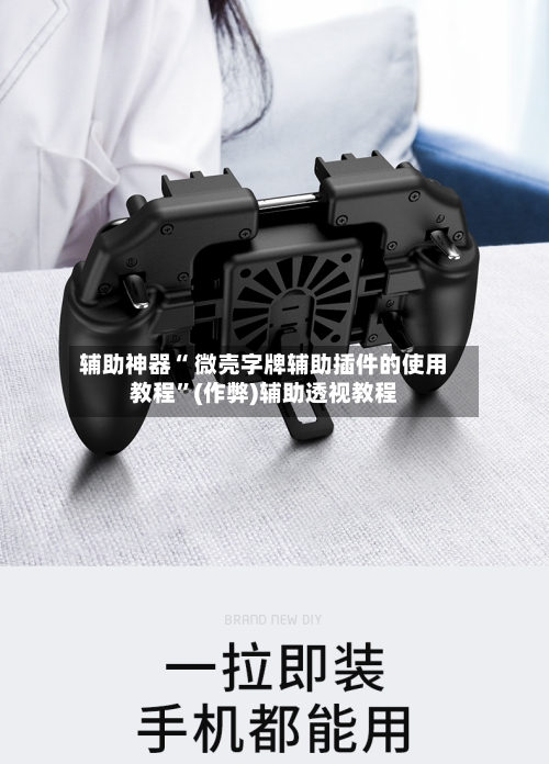 辅助神器“ 微壳字牌辅助插件的使用教程”(作弊)辅助透视教程-第2张图片