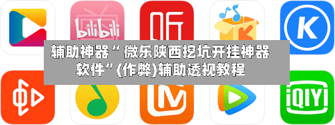 辅助神器“ 微乐陕西挖坑开挂神器软件”(作弊)辅助透视教程-第2张图片