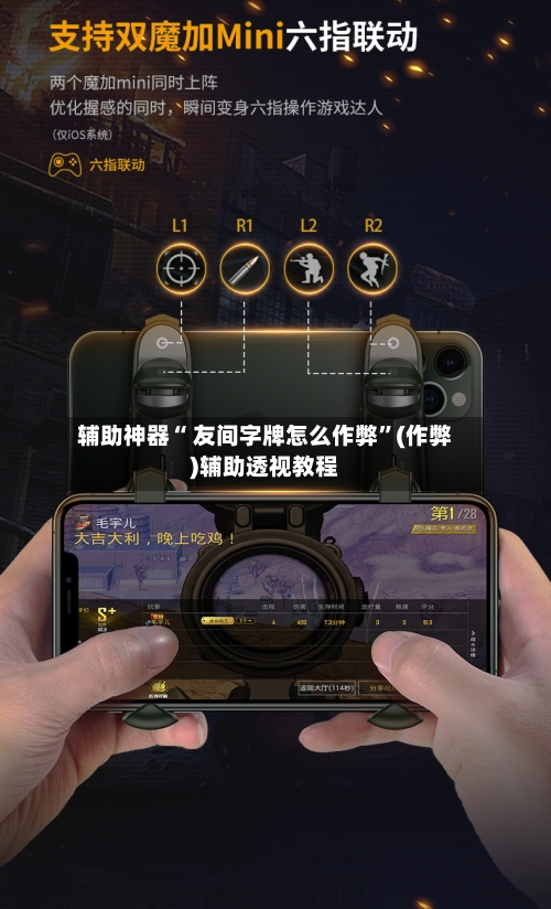 辅助神器“ 友间字牌怎么作弊”(作弊)辅助透视教程-第3张图片