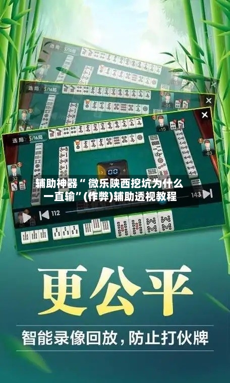 辅助神器“ 微乐陕西挖坑为什么一直输	”(作弊)辅助透视教程-第2张图片