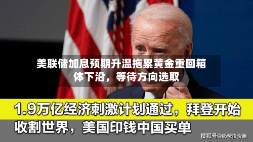 美联储加息预期升温拖累黄金重回箱体下沿，等待方向选取