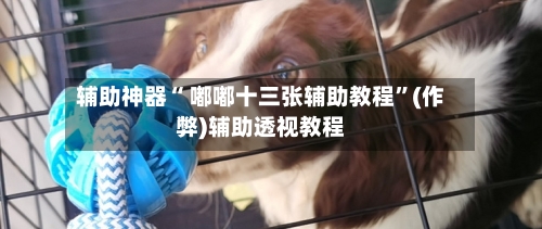 辅助神器“ 嘟嘟十三张辅助教程	”(作弊)辅助透视教程-第3张图片