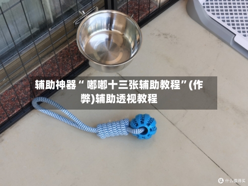 辅助神器“ 嘟嘟十三张辅助教程”(作弊)辅助透视教程