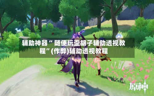 辅助神器“ 随便玩歪胡子辅助透视教程”(作弊)辅助透视教程-第3张图片
