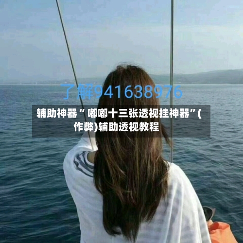 辅助神器“ 嘟嘟十三张透视挂神器	”(作弊)辅助透视教程-第2张图片