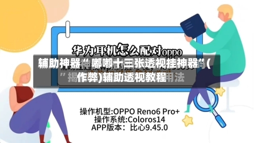 辅助神器“ 嘟嘟十三张透视挂神器”(作弊)辅助透视教程-第3张图片