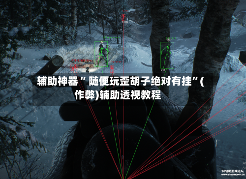 辅助神器“ 随便玩歪胡子绝对有挂”(作弊)辅助透视教程-第2张图片