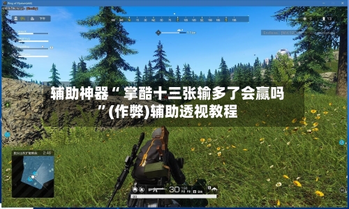 辅助神器“ 掌酷十三张输多了会赢吗	”(作弊)辅助透视教程-第3张图片