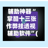 辅助神器“ 掌酷十三张作弊挂透视辅助软件”(作弊)辅助透视教程-第3张图片