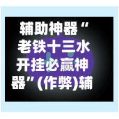 辅助神器“ 老铁十三水开挂必赢神器”(作弊)辅助透视教程