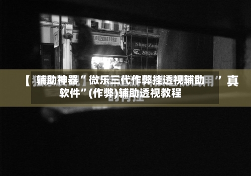 辅助神器“ 微乐三代作弊挂透视辅助软件”(作弊)辅助透视教程-第3张图片