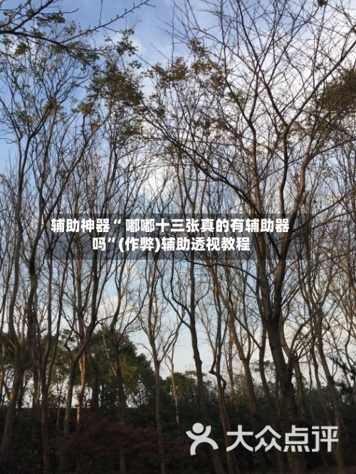辅助神器“ 嘟嘟十三张真的有辅助器吗”(作弊)辅助透视教程-第2张图片