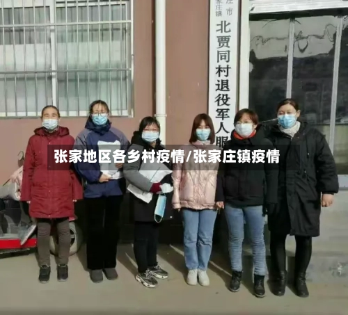 张家地区各乡村疫情/张家庄镇疫情