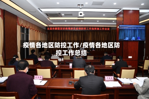 疫情各地区防控工作/疫情各地区防控工作总结