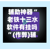 辅助神器“ 老铁十三水软件有挂吗”(作弊)辅助透视教程-第2张图片