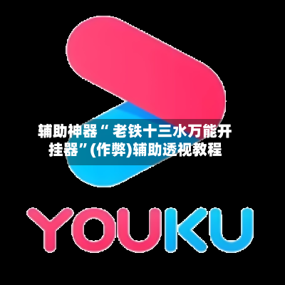 辅助神器“ 老铁十三水万能开挂器”(作弊)辅助透视教程-第3张图片