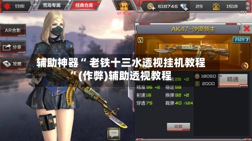 辅助神器“ 老铁十三水透视挂机教程”(作弊)辅助透视教程-第2张图片