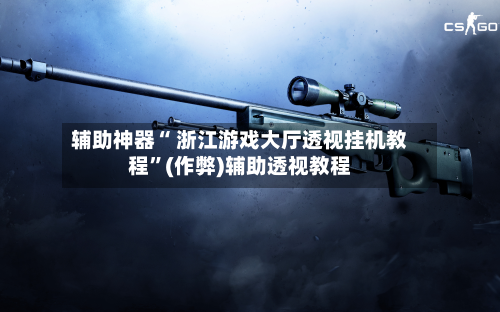 辅助神器“ 浙江游戏大厅透视挂机教程”(作弊)辅助透视教程-第2张图片