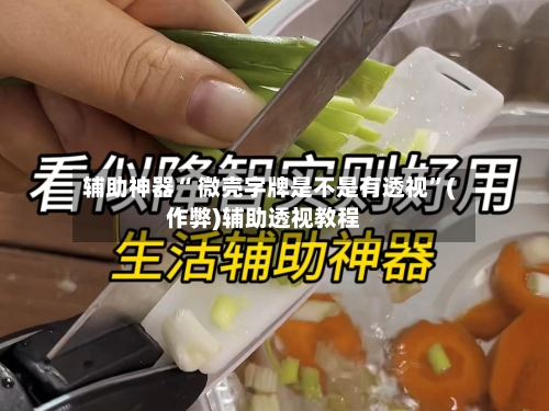 辅助神器“ 微壳字牌是不是有透视”(作弊)辅助透视教程