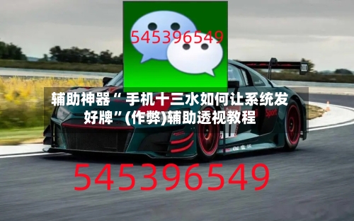 辅助神器“ 手机十三水如何让系统发好牌”(作弊)辅助透视教程-第2张图片