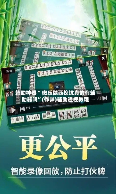 辅助神器“ 微乐陕西挖坑真的有辅助器吗”(作弊)辅助透视教程-第3张图片