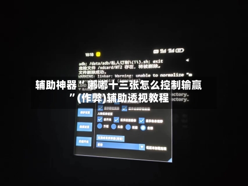 辅助神器“ 嘟嘟十三张怎么控制输赢”(作弊)辅助透视教程-第2张图片